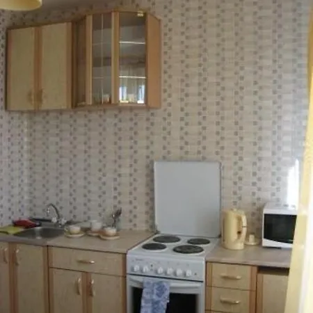 Apartment Selitskogo Minsk